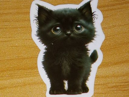 Cat Cute new one vinyl sticker no refunds regular mail only Very nice