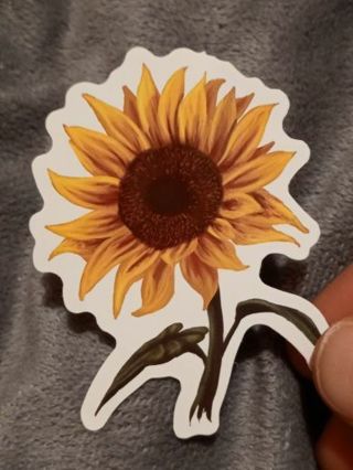 Flower one new nice vinyl lab top sticker no refunds regular mail high quality!