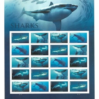  20 Forever SHARKS Stamps, Limited,  Refundable and Insured,  NOT DROP-SHIPPED, Ships in 1 day.