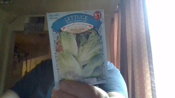 lettuce-parris island  seed