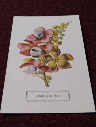 Botanical Postcard - CANNONBALL TREE