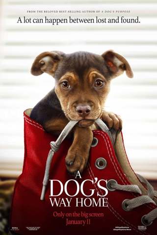 "A dogs Way Home" HD-"Vudu or Movies Anywhere" Digital Movie Code