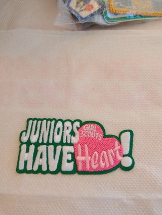Green & Pink "Juniors Have Heart" Iron-on Patch