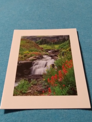 Greeting Card - Cascading Stream and Wildflowers