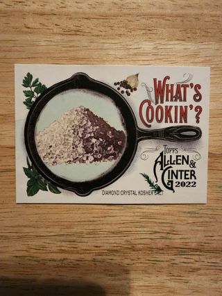 Allen & Ginter Kosher Salt # WC-7