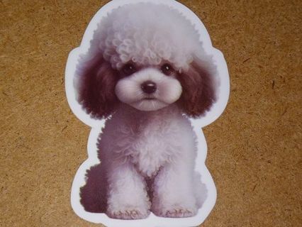 Dog Cute nice 1⃣ vinyl sticker no refunds regular mail only Very nice quality!