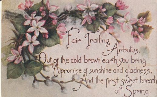 Vintage Used Postcard: 1910 First Sweet Breath of Spring