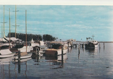 Vintage Unused Postcard: t: Florida Fishing Fleet