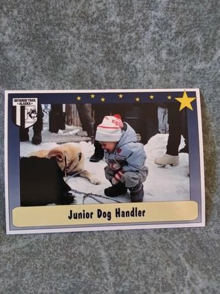 Dog Sled Trading Card
