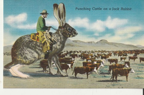 Vintage Unused Postcard: Linen: Punching Cattle on a Jackrabbit