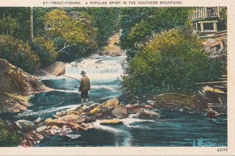 Vintage Unused Postcard: c: Trout Fishing in the Mountains