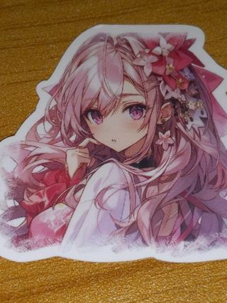 Pretty new 1⃣ nice vinyl lap top sticker no refunds regular mail very nice quality