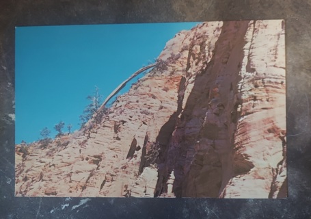 Zion National Park Postcard 