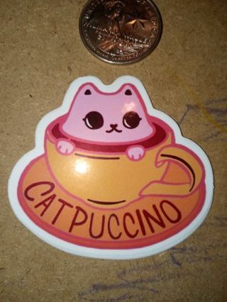 Cat So Cute one vinyl sticker no refunds regular mail Win 2 or more get bonus