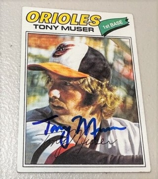 Autographed 1977 Topps #251 Tony Muser Baltimore Orioles Baseball Card