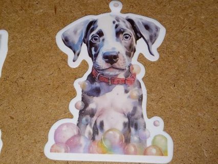 Dog Cool new 1⃣ vinyl lap top sticker no refunds regular mail very nice quality