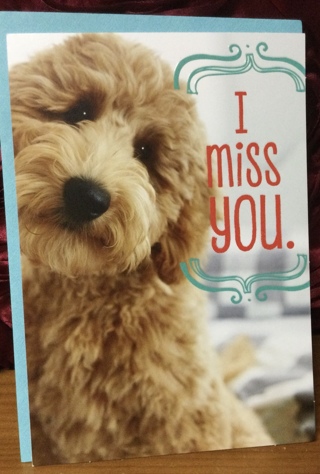 Fluffy Dog Miss You Card