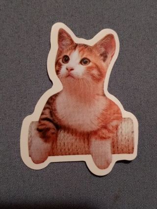 Cat Cute vinyl sticker no refunds regular mail Win 2 or more get bonus