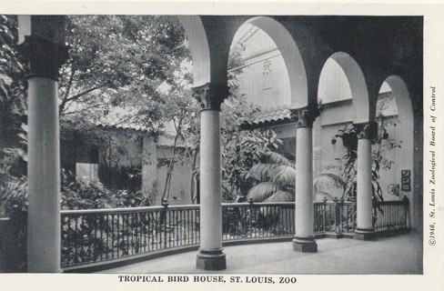 Vintage Unused Postcard: b&w: St Louis Zoo