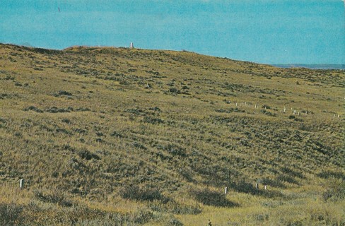 Vintage Unused Postcard: n: View of F & I Company, Custer Battlefield, Montana