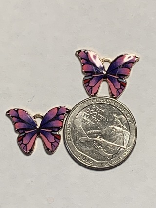 ♥♥BUTTERFLY CHARMS~#20~FRONT VIEW~SET OF 2~FREE SHIPPING♥♥