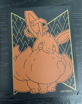 Lot of 5 Pokémon sleeves