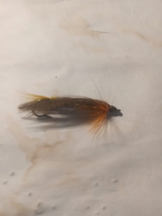 Fishing Fly