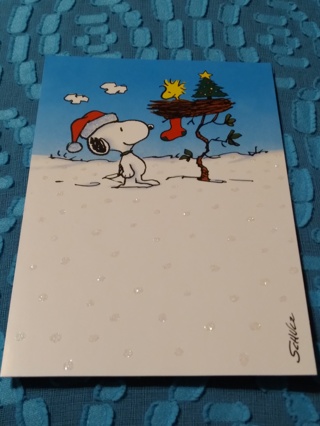 PEANUTS Christmas Card - Joys