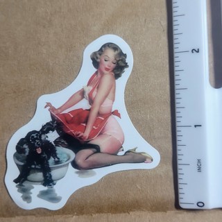 Vintage Pinup Girl Vinyl Decal Sticker