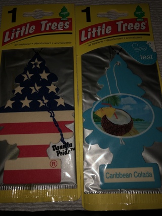 TWO Little Trees Air Fresheners 