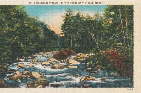 Vintage Unused Postcard: e: Mountain Stream