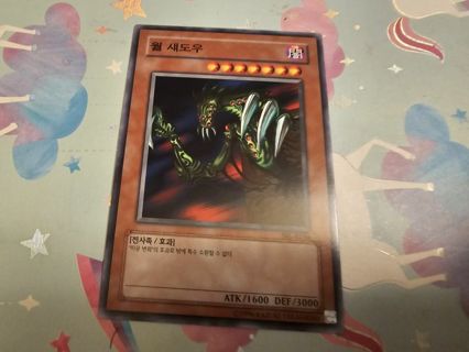 Korean yugioh card