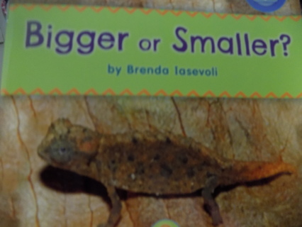 Bigger or Smaller by Brok Lasevali