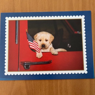 Patriotic Pup Note Card (A)