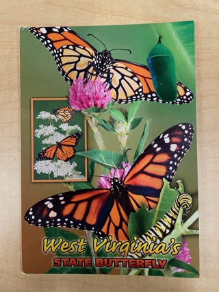 West Virginia (Butterflies) Postcard