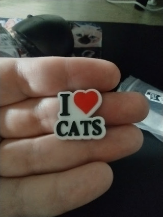 Pin - I Love Cats