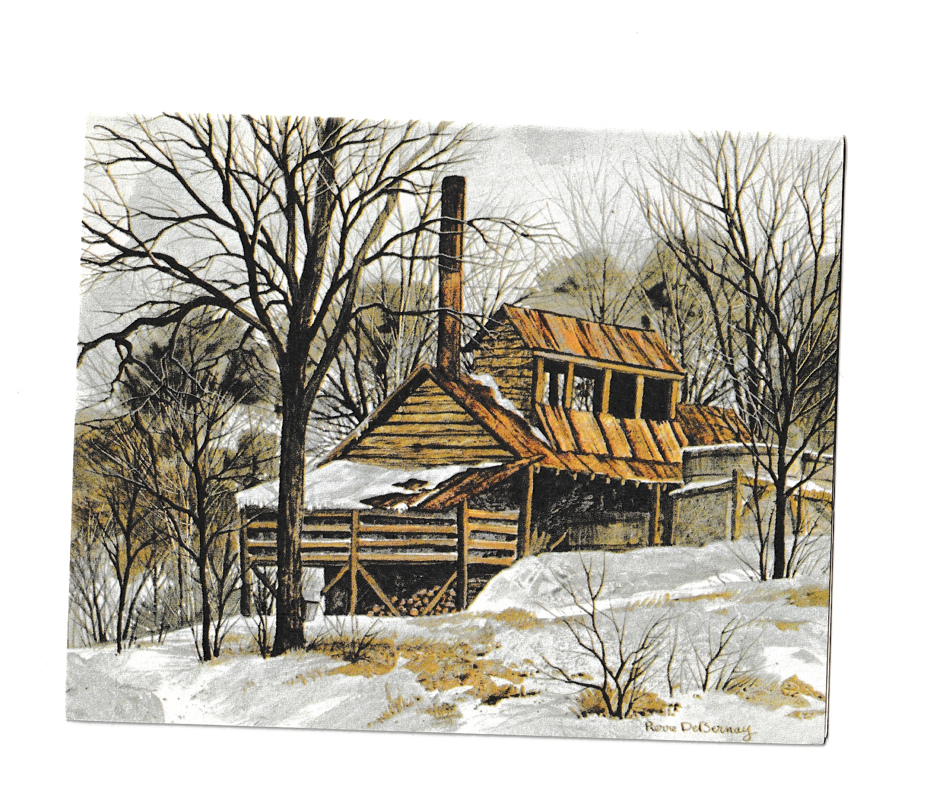 FREE: Art Note Card unused/ Envelope Blank Inside