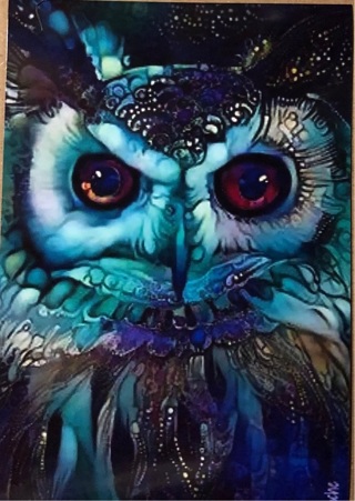 Mysterious Owl - 3 x 5” MAGNET - GIN ONLY