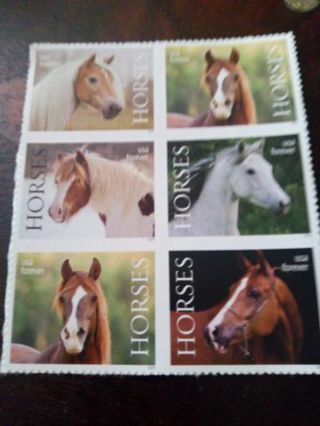 6- FOREVER US POSTAGE STAMPS... HORSES