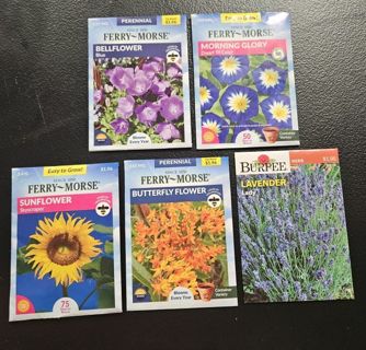 Daily Growing Seeds Lot!