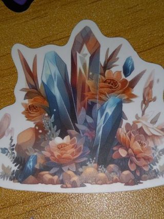 Pretty new 1⃣ vinyl lap top sticker no refunds regular mail very nice quality