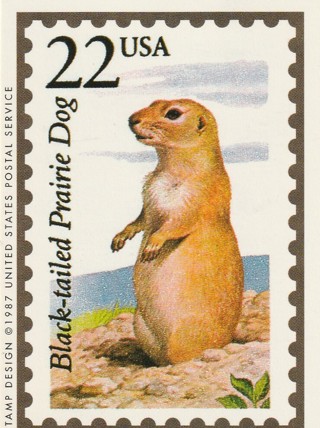 Vintage Wildlife America Collector/Trade Card: Black-Tailed Prairie Dog