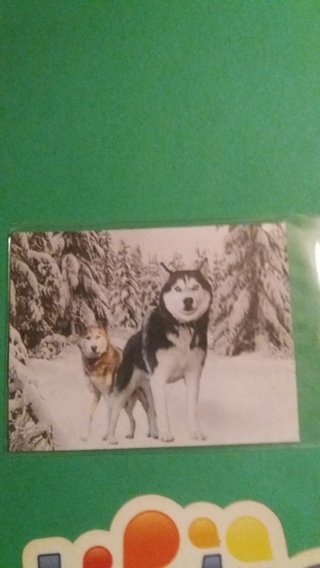 husky magnet free shipping