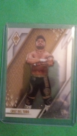 cruz del toro wrestling card free shipping