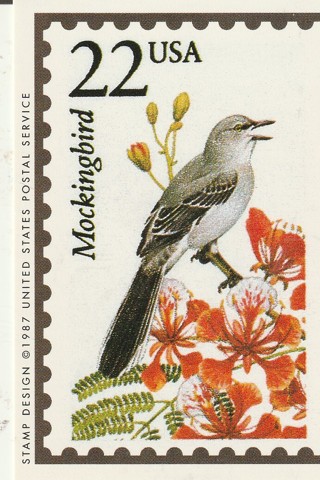 Vintage Wildlife America Collector/Trade Card: Mockingbird