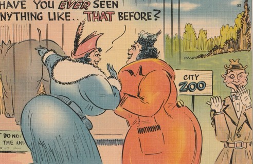 Vintage Unused Postcard: c: Comic:  Have you ever seen anything like That Before?