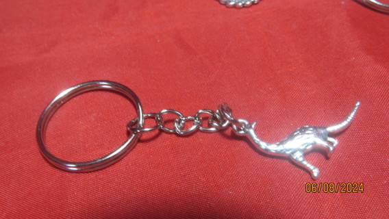 KEY CHAIN