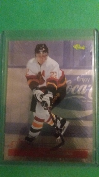 wayne primeau hockey card free shipping