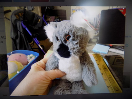 TY Attic Collection Treasures  Koala bear 9 inch