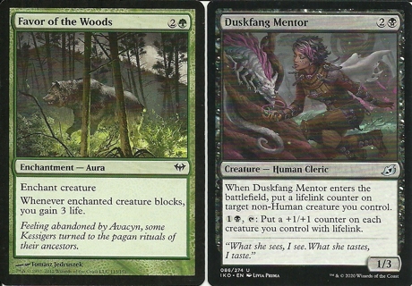 2 MTG Cards:  Dark Ascension: Favor of the Woods 113/158,Duskfang Mentor 086/274 (U)  